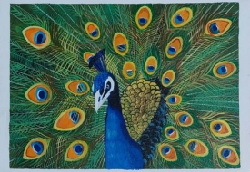 Traditional Media