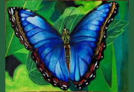 Canvas Painting